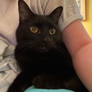 Meet your Posher, Kelly